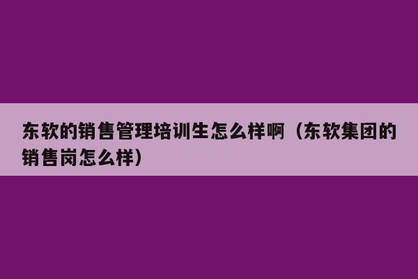 东软的销售管理培训生怎么样啊（东软集团的销售岗怎么样）